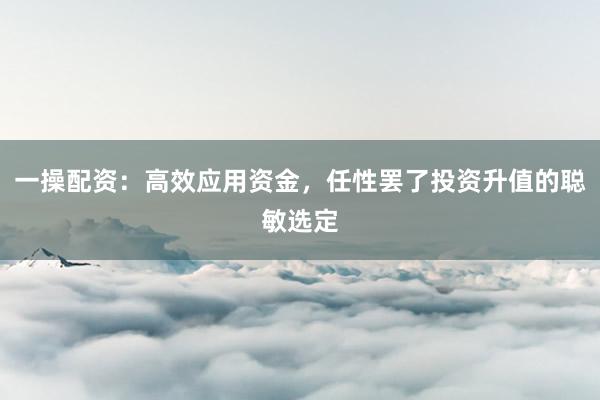 一操配资：高效应用资金，任性罢了投资升值的聪敏选定
