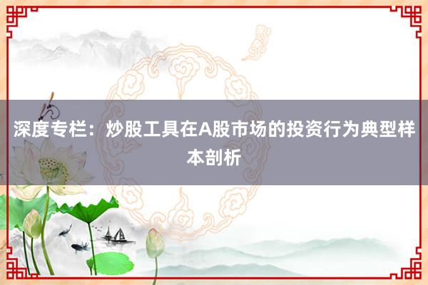 深度专栏：炒股工具在A股市场的投资行为典型样本剖析