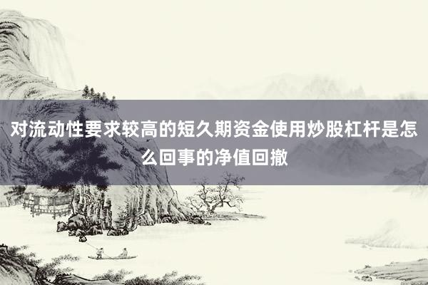 对流动性要求较高的短久期资金使用炒股杠杆是怎么回事的净值回撤