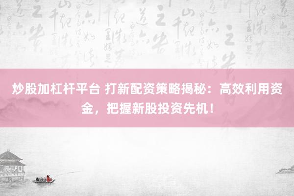 炒股加杠杆平台 打新配资策略揭秘：高效利用资金，把握新股投资先机！
