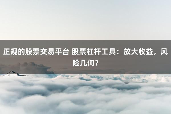 正规的股票交易平台 股票杠杆工具：放大收益，风险几何？