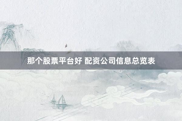 那个股票平台好 配资公司信息总览表