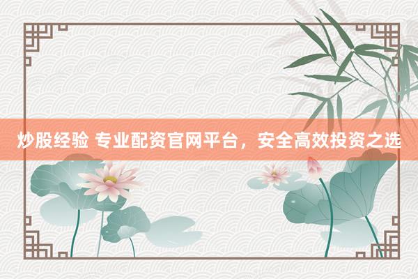 炒股经验 专业配资官网平台，安全高效投资之选